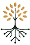 AlgoRoot Tree