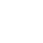 AlgoVox icon
