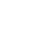 AlgoVox Icon